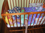 gal/Lili 2005.08.14./_thb_DSCN1226.jpg